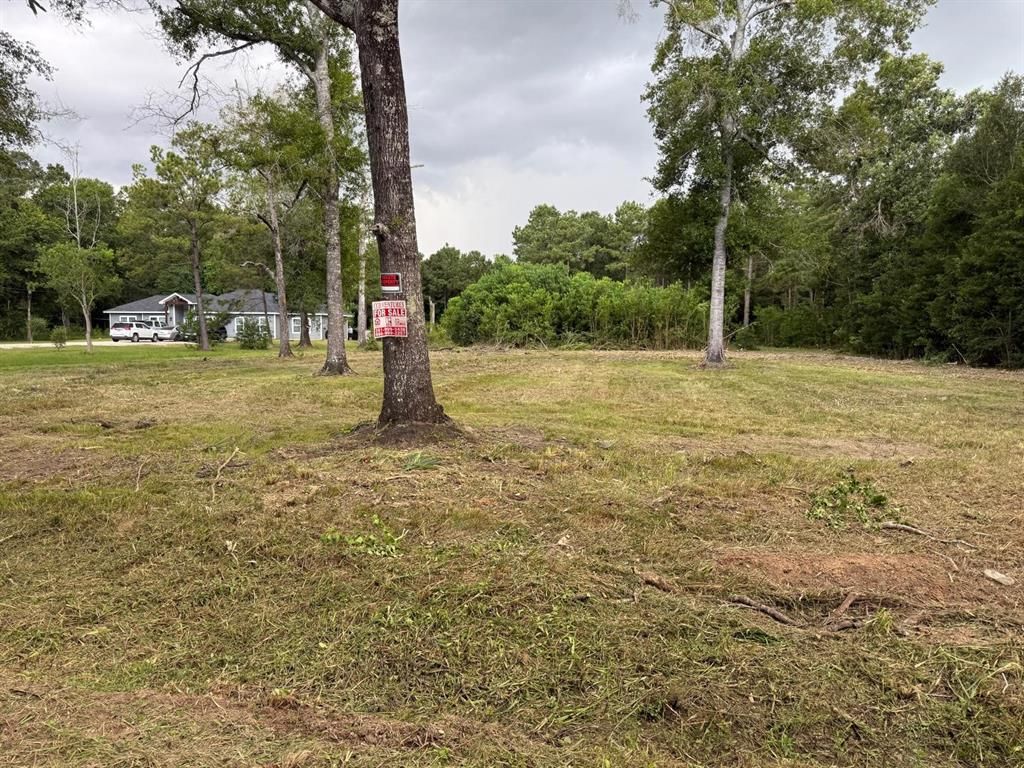 Photo of 0 Birch Place, New Caney, TX 77357 (MLS # 20732721)
