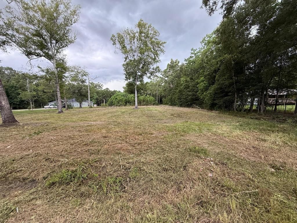 Photo of 0 Birch Place, New Caney, TX 77357 (MLS # 20732721)