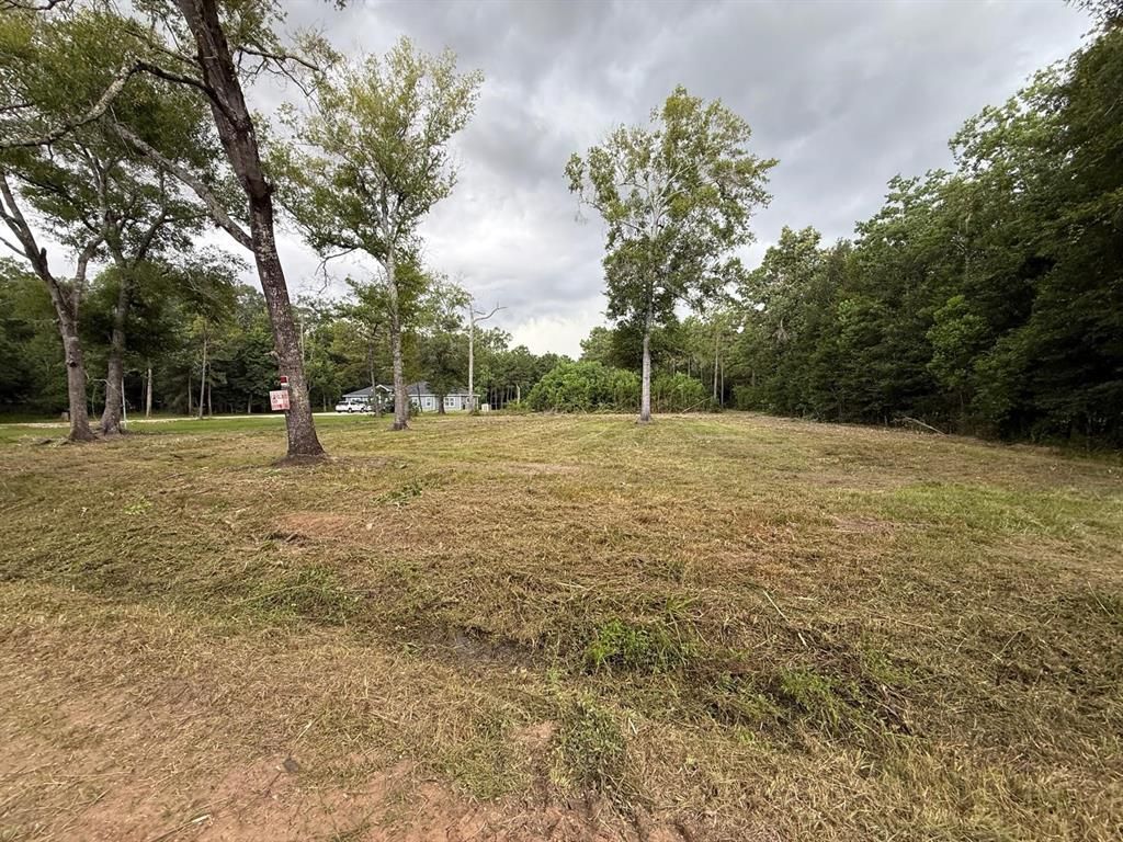 Photo of 0 Birch Place, New Caney, TX 77357 (MLS # 20732721)