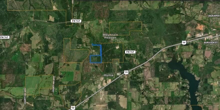 County Road 3216, Jacksonville, Texas image 4