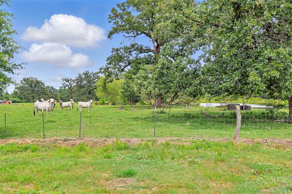 960 N Fm 1486 Road, Montgomery, Texas image 37
