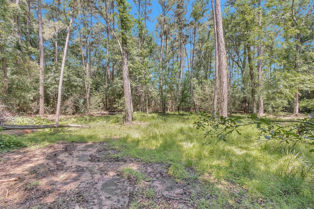 9019 Miller Road, Magnolia, Texas image 42