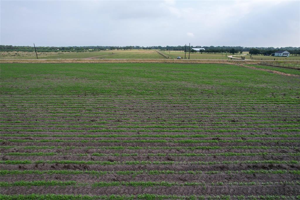 Fm-2546, El Campo, Texas image 16