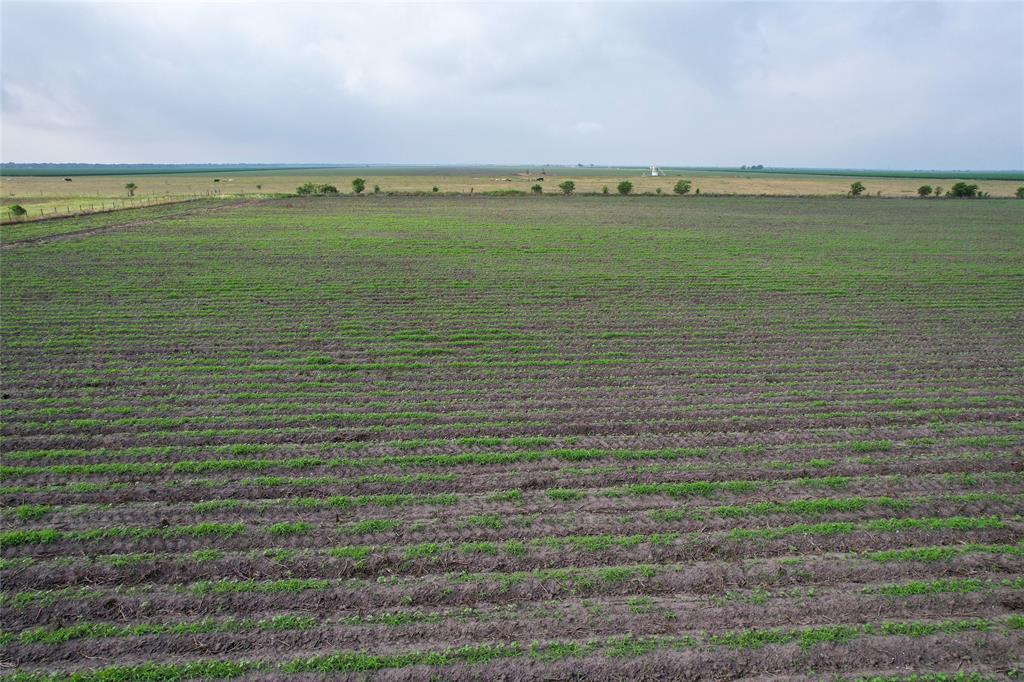 Fm-2546, El Campo, Texas image 18