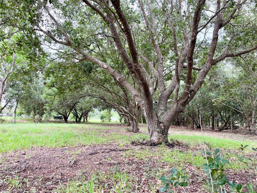 00 W Bayshore Drive, Anahuac, Texas image 8