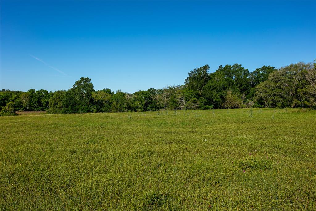 Lot 6B Brazos Court, Caldwell, Texas image 3