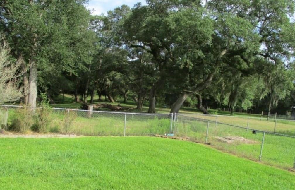 4015 County Road 450 Road, West Columbia, Texas image 5