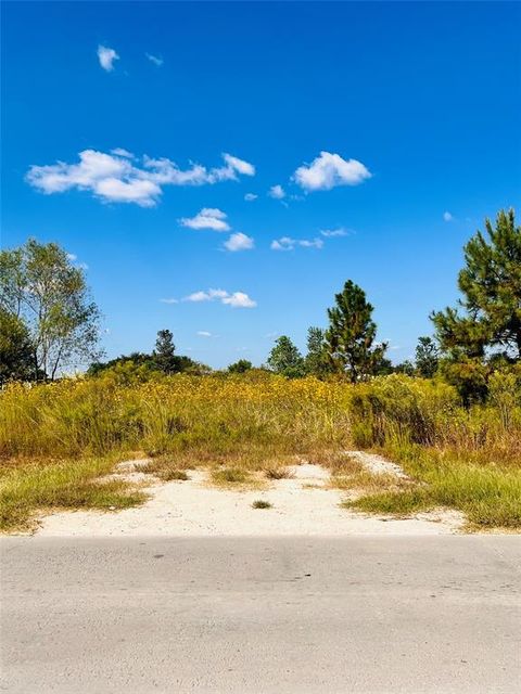 Photo of 1383 County Road 3540, Cleveland, TX 77327 (MLS # 15430659)