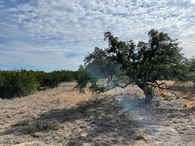 2078 W Ranch Road 962 Lot 2, Round Mountain, Texas image 7