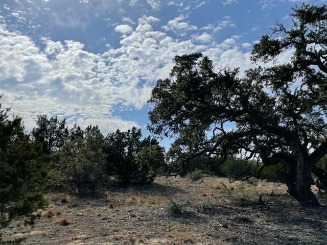 2078 W Ranch Road 962 Lot 2, Round Mountain, Texas image 4