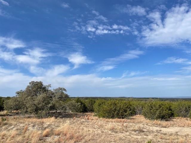 2078 W Ranch Road 962 Lot 2, Round Mountain, Texas image 5