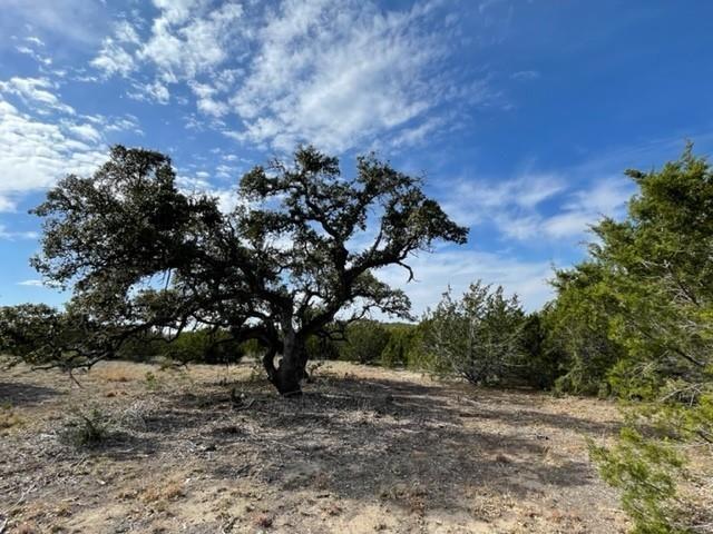 2078 W Ranch Road 962 Lot 2, Round Mountain, Texas image 6