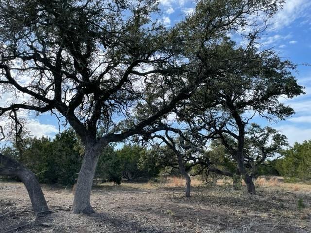 2078 W Ranch Road 962 Lot 2, Round Mountain, Texas image 8