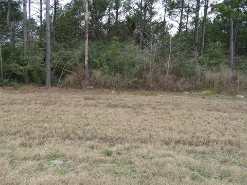 15649 Forest Grove Drive Willis TX 77378