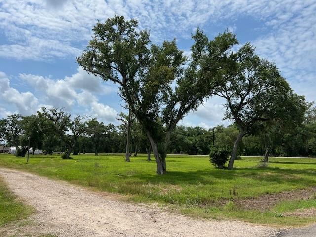 6018 County Road 802, Brazoria, Texas image 3