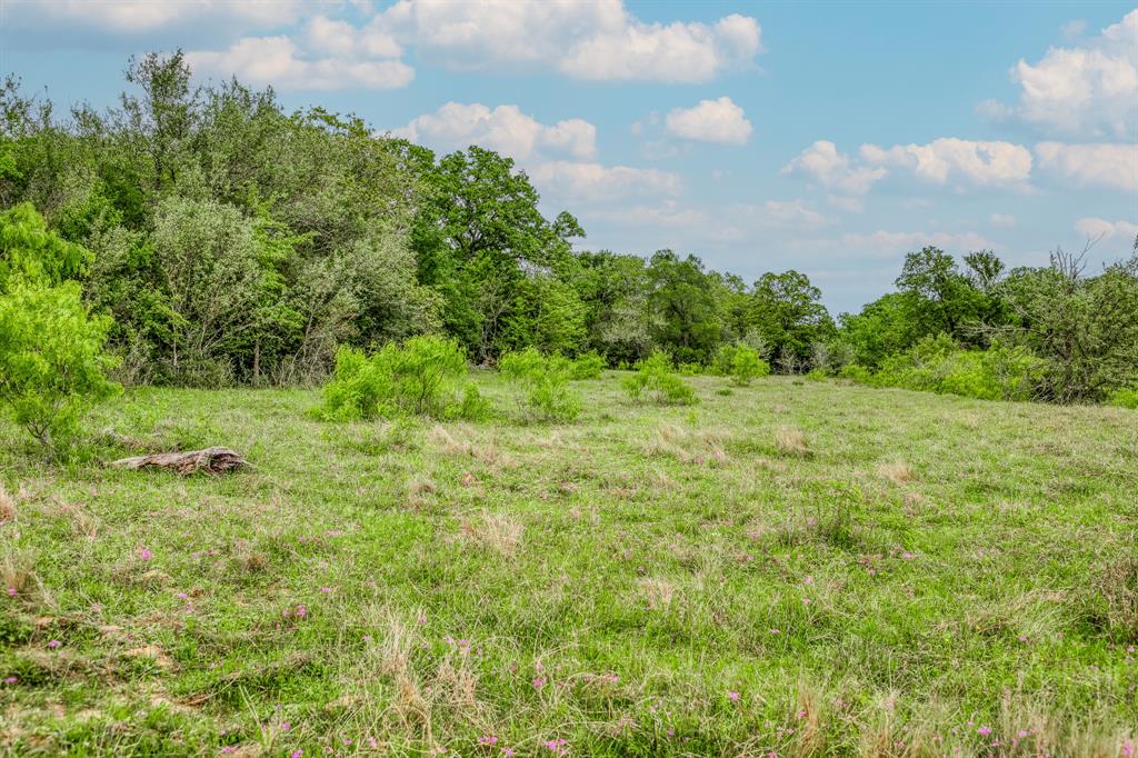 TBD (62.58 Acres) County Road 125, Ledbetter, Texas image 14