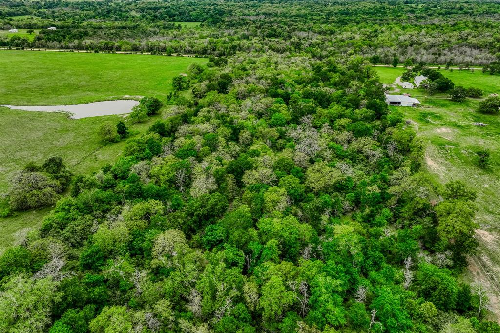 TBD (62.58 Acres) County Road 125, Ledbetter, Texas image 24