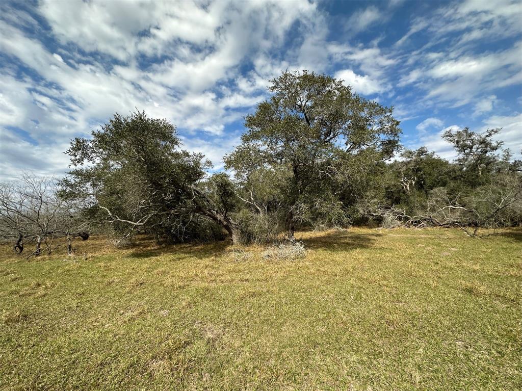 Schubert Road, Victoria, Texas image 7