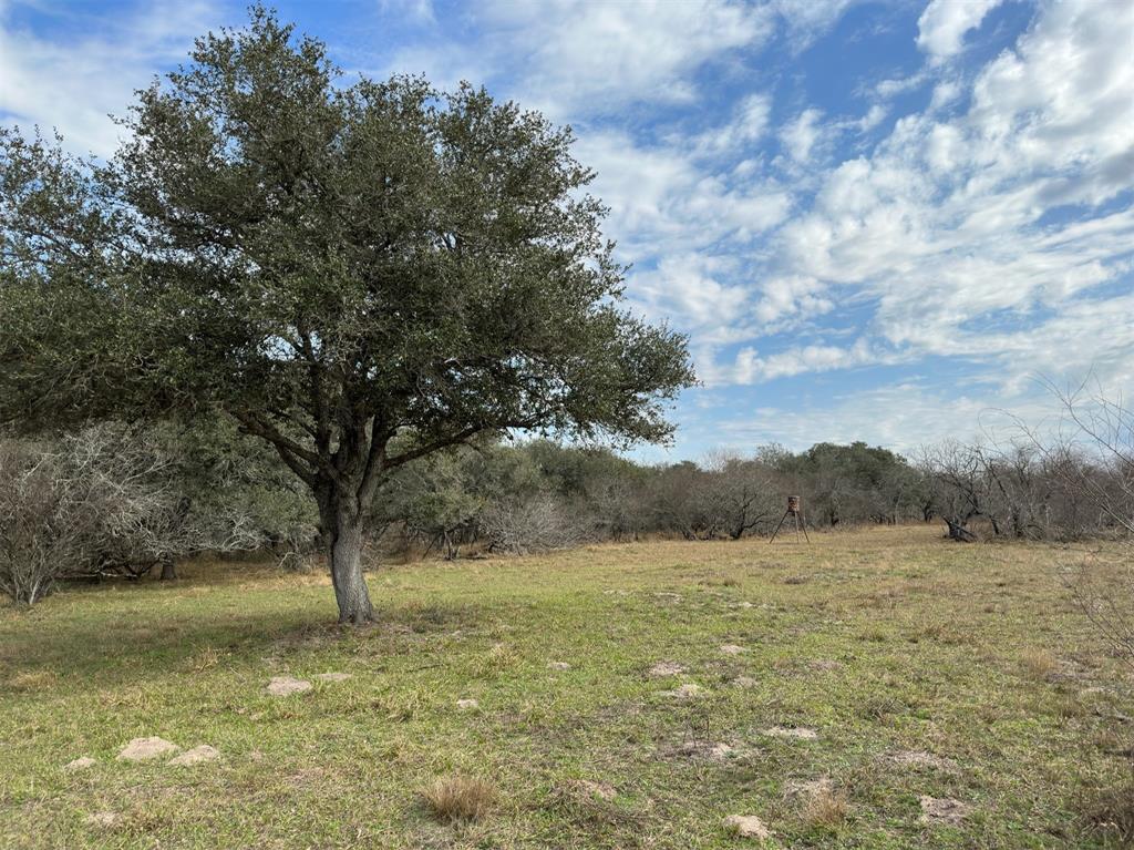 Schubert Road, Victoria, Texas image 3