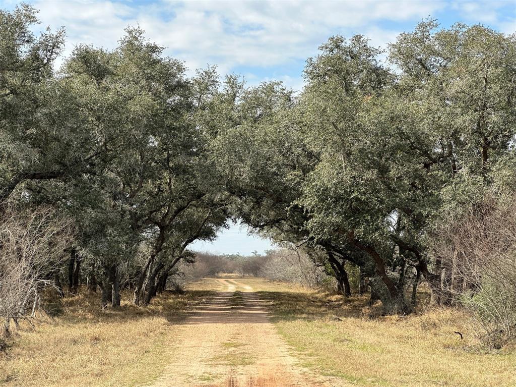 Schubert Road, Victoria, Texas image 1