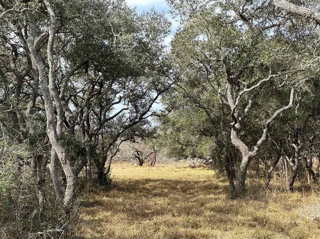 Schubert Road, Victoria, Texas image 5