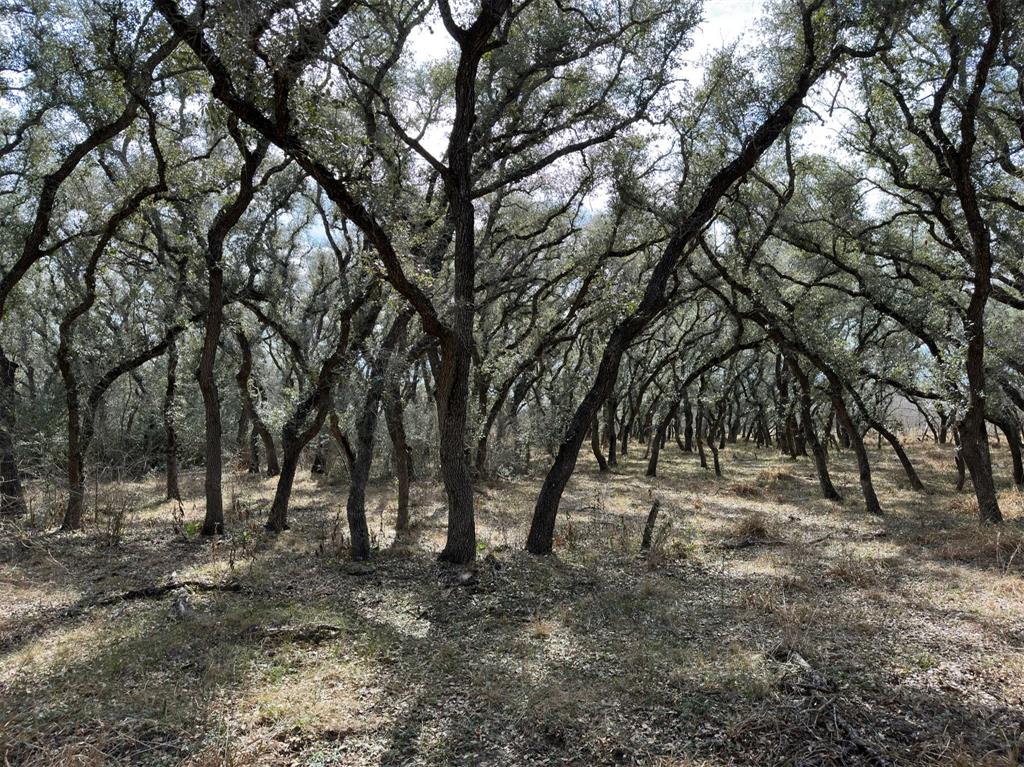 Schubert Road, Victoria, Texas image 4