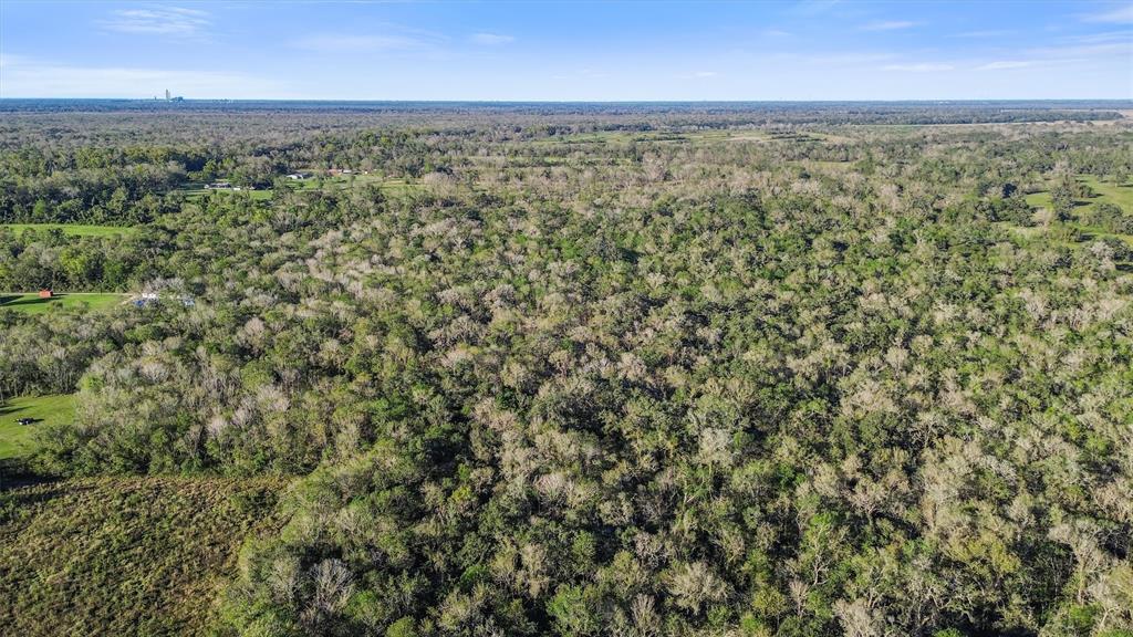 NA County Rd 42, Rosharon, Texas image 7