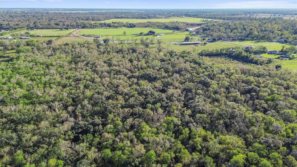 NA County Rd 42, Rosharon, Texas image 9