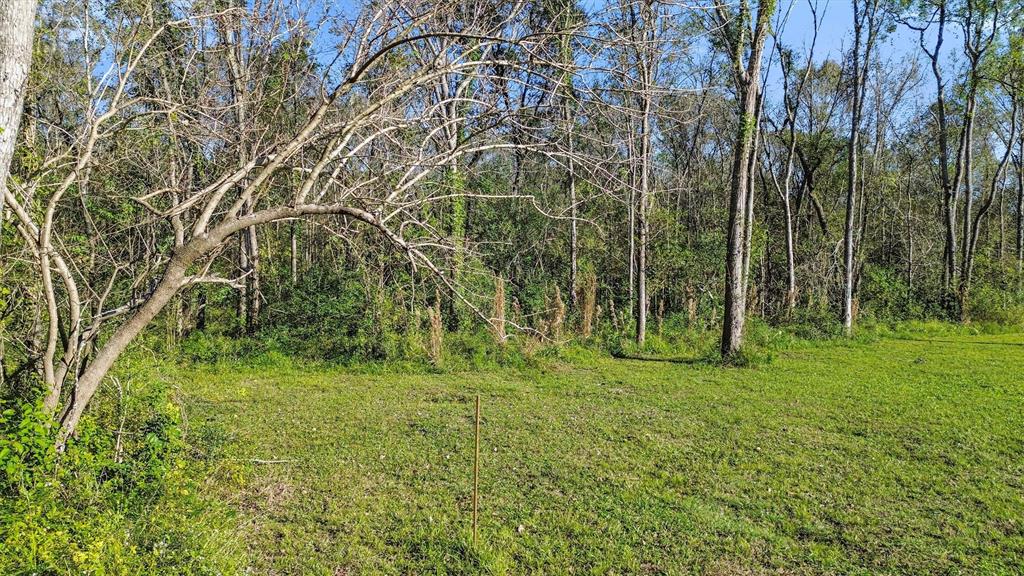 NA County Rd 42, Rosharon, Texas image 12