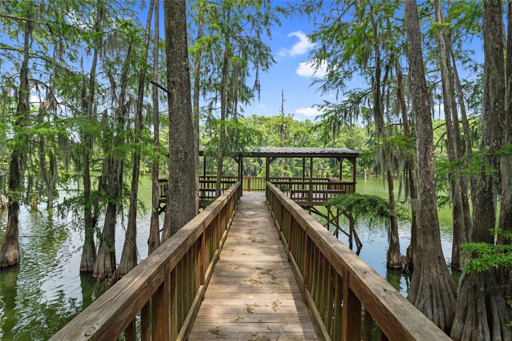 749 Ferguson Drive, Cleveland, Texas image 34
