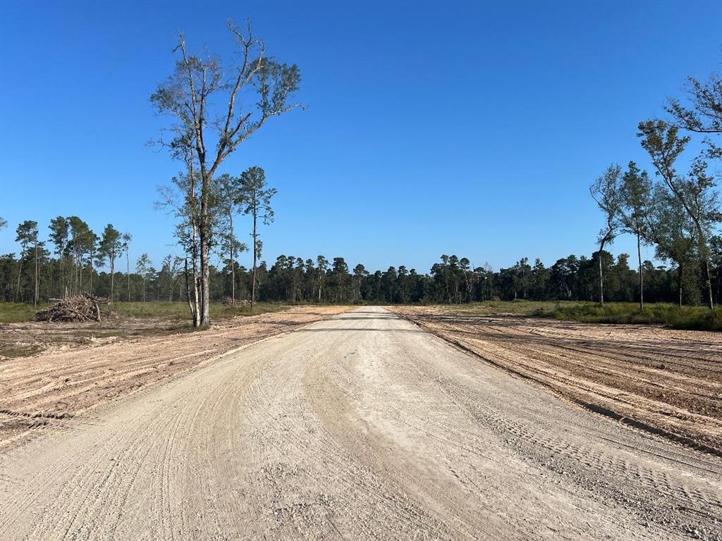 TBD Coon Massey Road, Conroe, Texas image 1