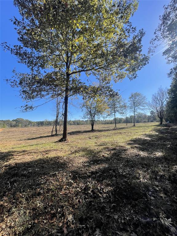 TBD County Road 4505, Tenaha, Texas image 9