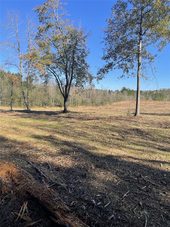 TBD County Road 4505, Tenaha, Texas image 7