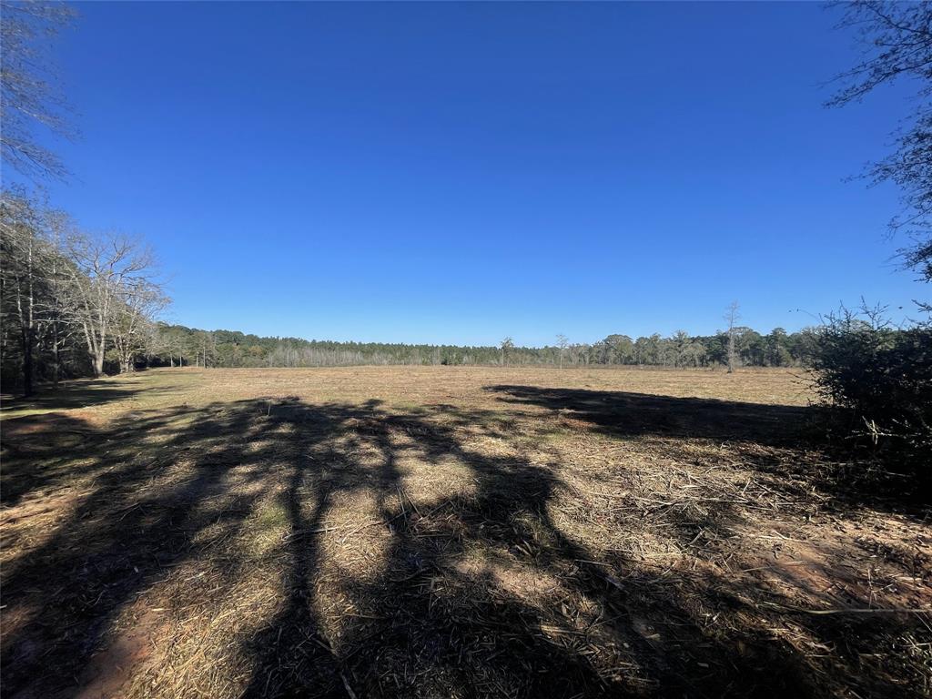 TBD County Road 4505, Tenaha, Texas image 10