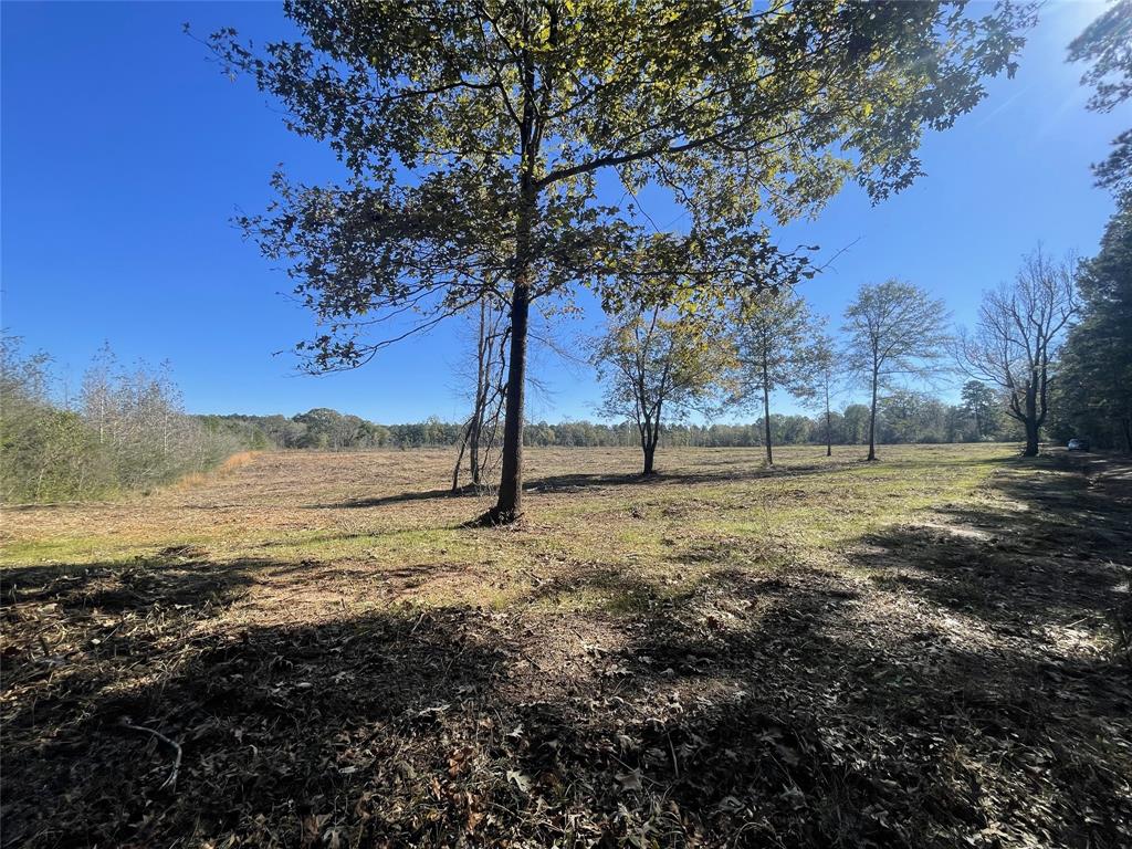 TBD County Road 4505, Tenaha, Texas image 8