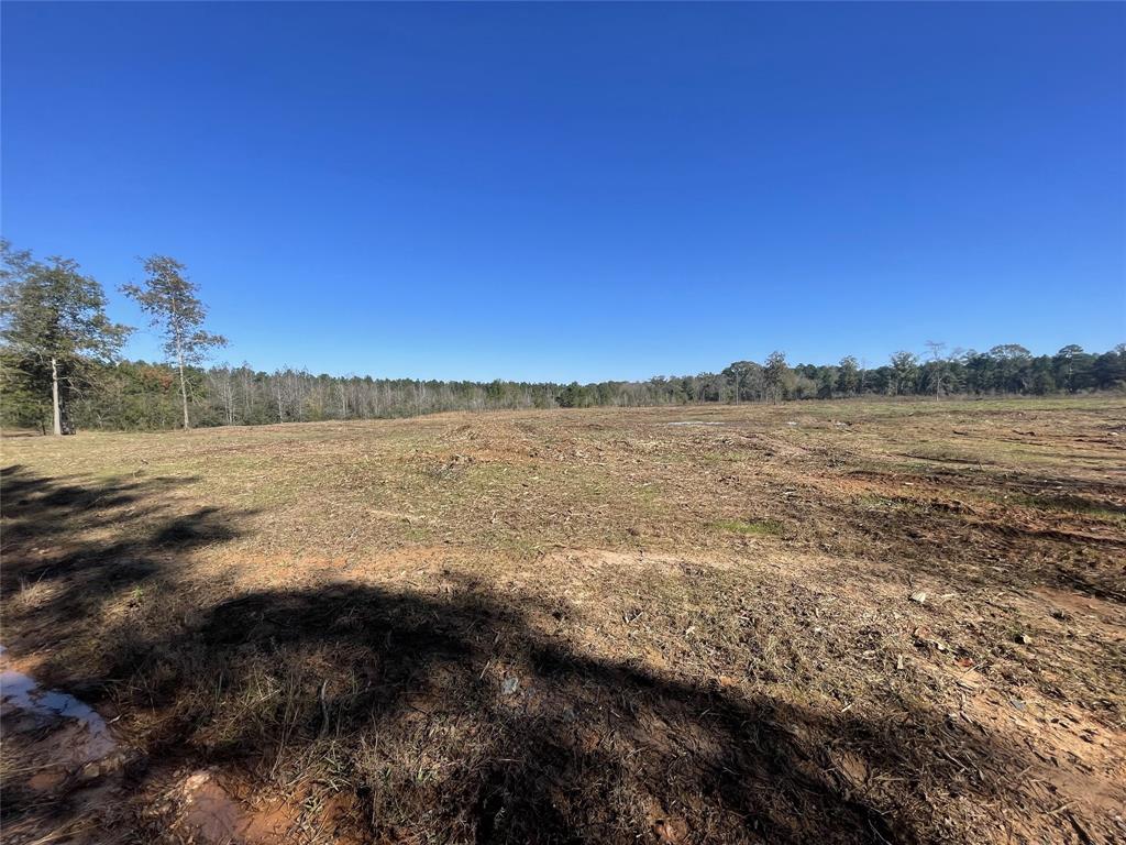 TBD County Road 4505, Tenaha, Texas image 1