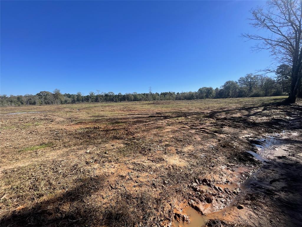 TBD County Road 4505, Tenaha, Texas image 2