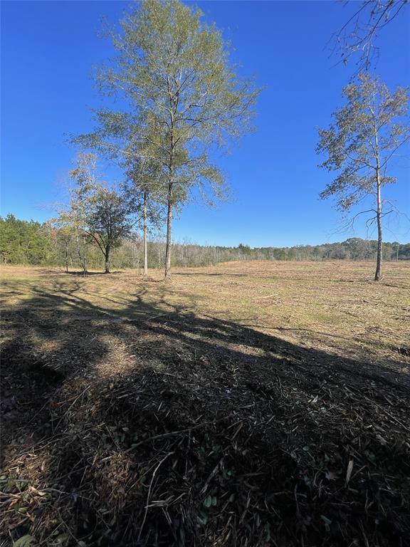 TBD County Road 4505, Tenaha, Texas image 6