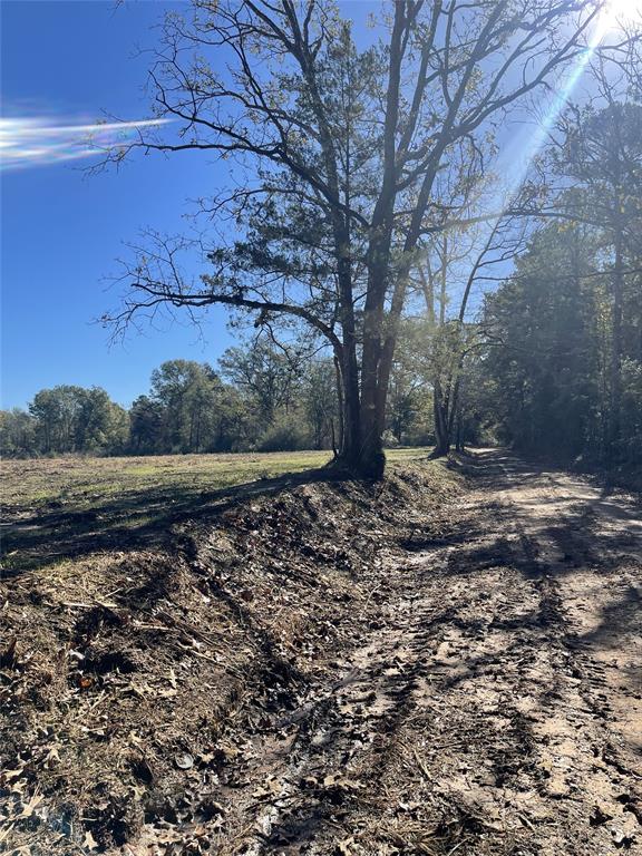 TBD County Road 4505, Tenaha, Texas image 5