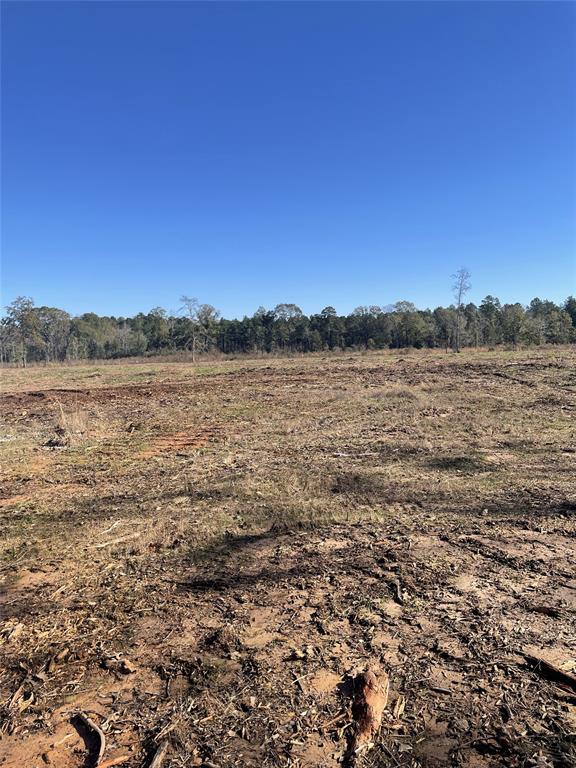 TBD County Road 4505, Tenaha, Texas image 4