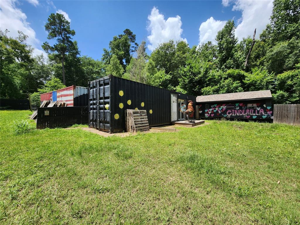 12123 Overhill Road, Plantersville, Texas image 10