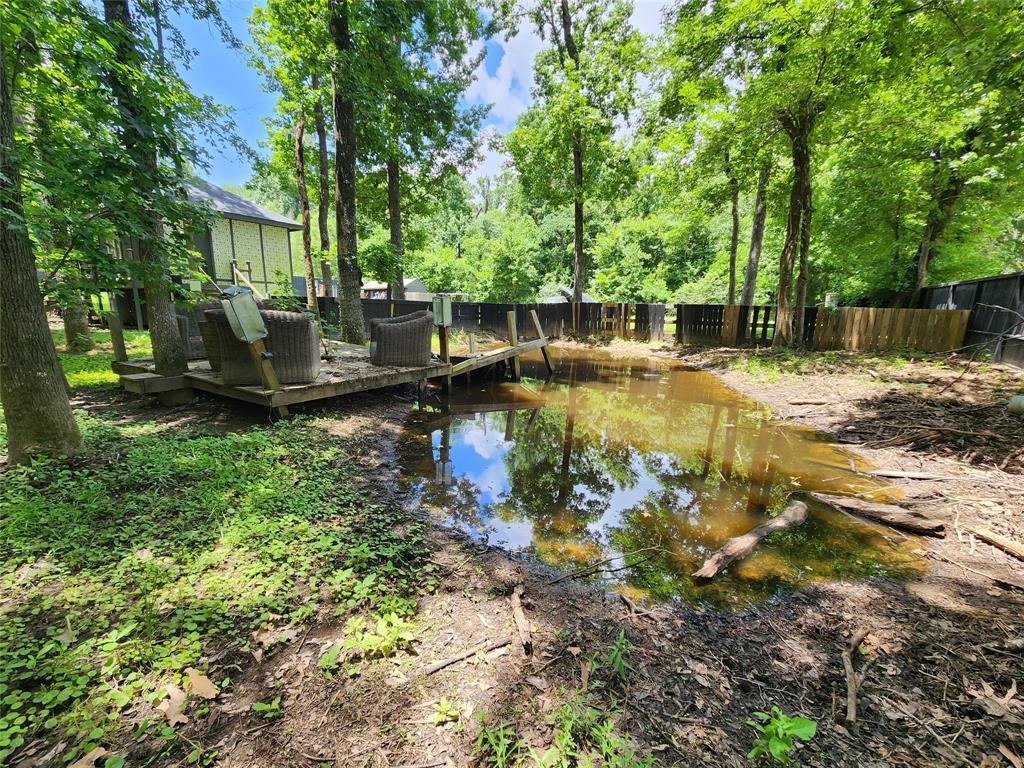 12123 Overhill Road, Plantersville, Texas image 5