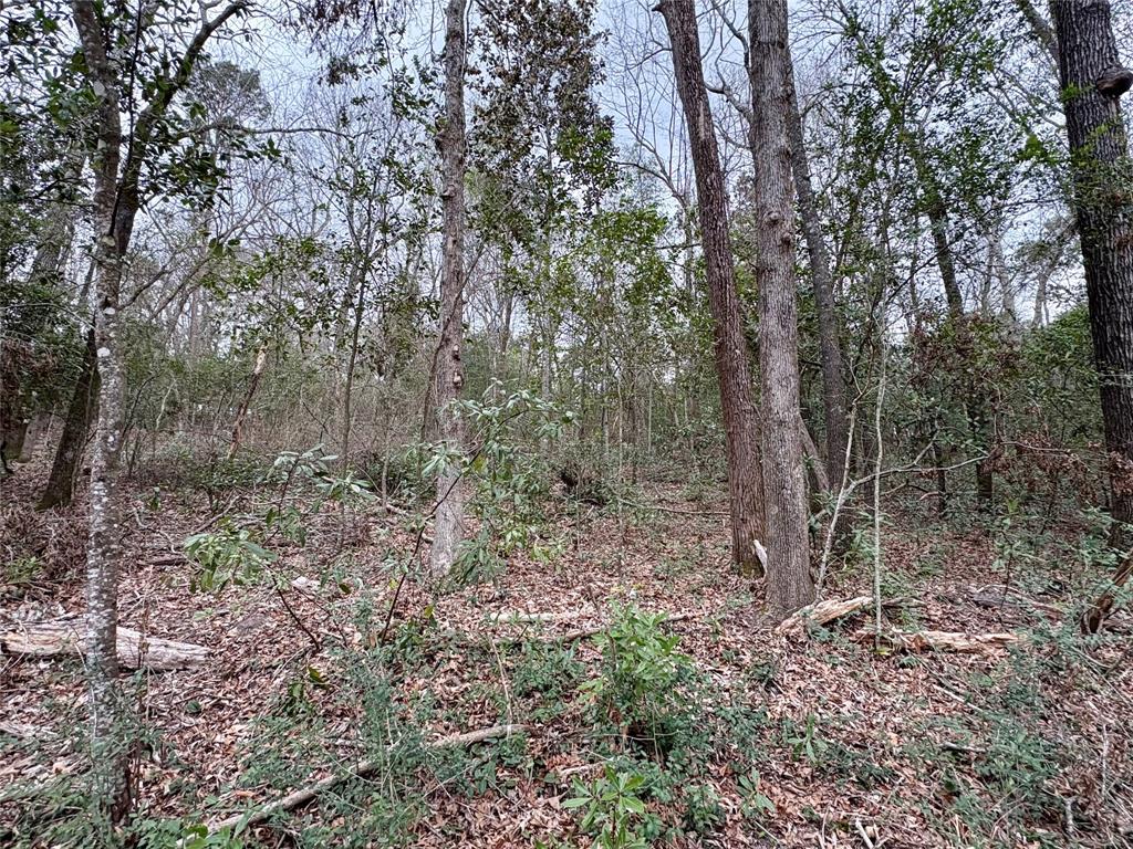 TBD Hinson Hill Road, Livingston, Texas image 7