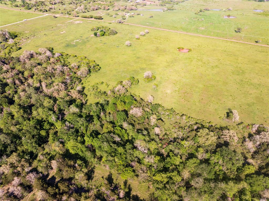 Tract 10 Armstrong Derry Road, Waelder, Texas image 3