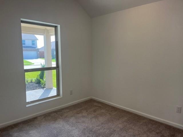 26903 Tree Mallow Drive, Katy, Texas image 11