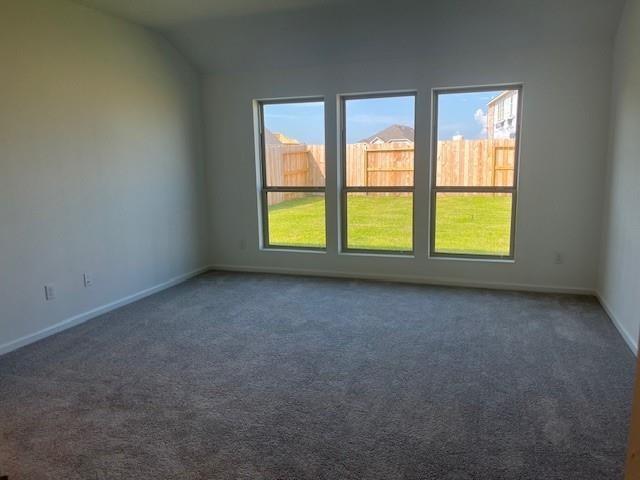 26903 Tree Mallow Drive, Katy, Texas image 7