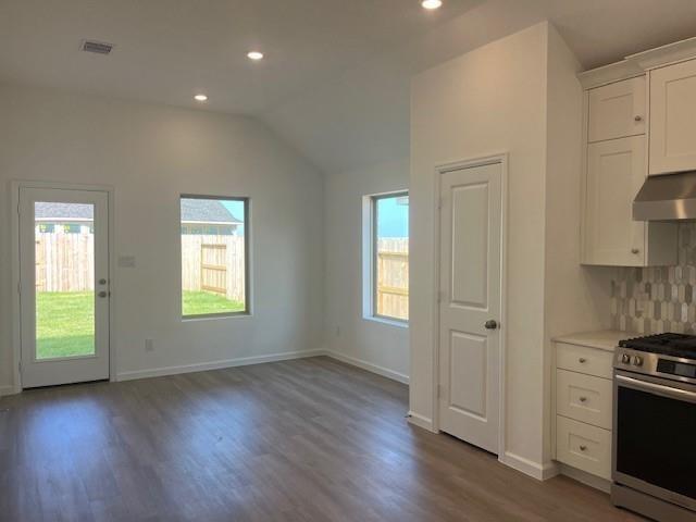 26903 Tree Mallow Drive, Katy, Texas image 5