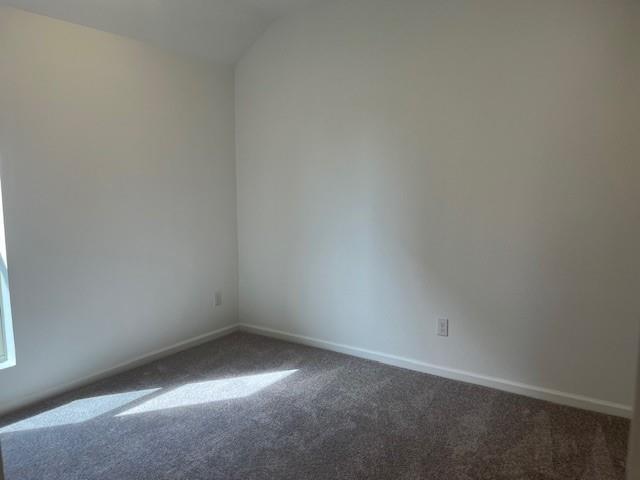 26903 Tree Mallow Drive, Katy, Texas image 12