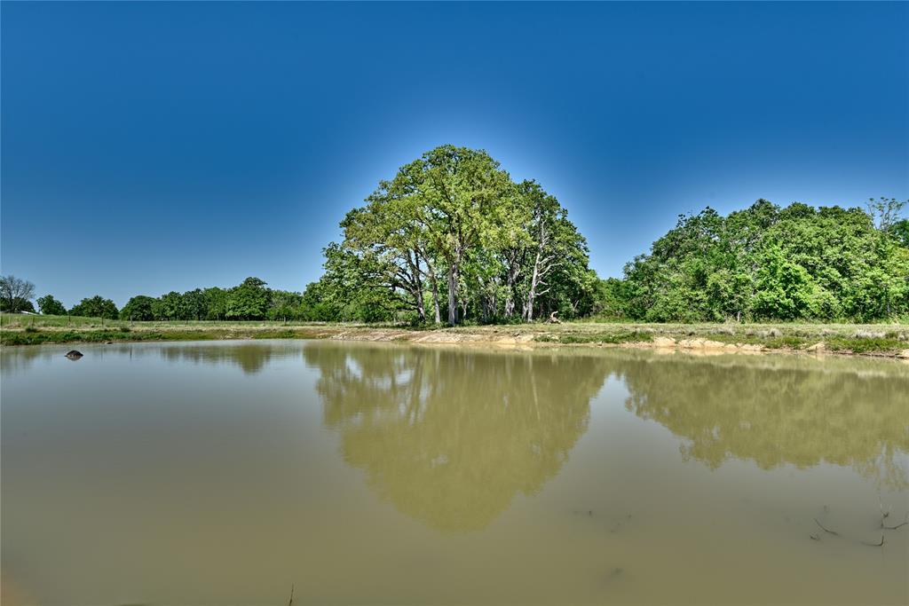 44895 Austin Branch Road, Hempstead, Texas image 28