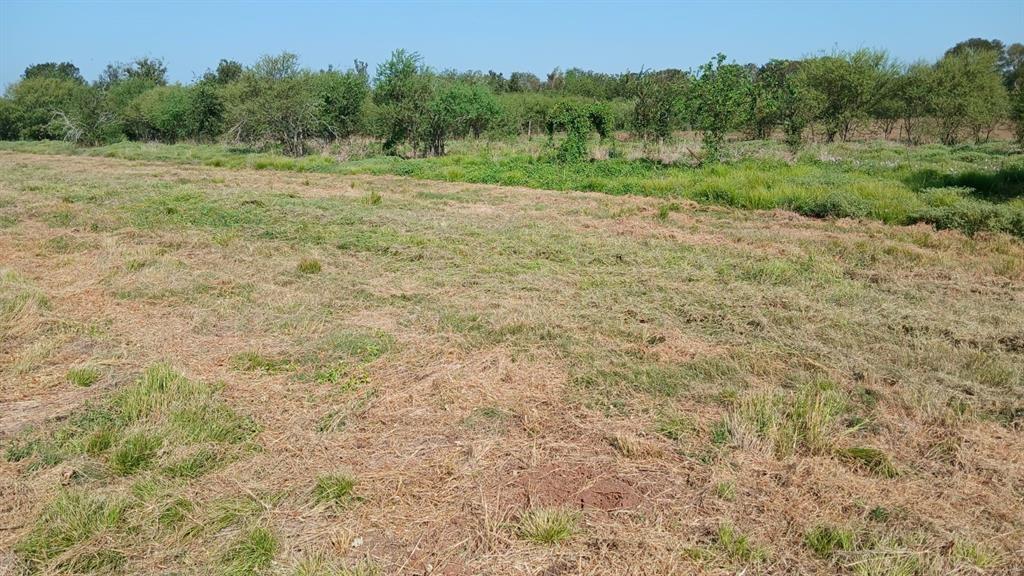 5025 5027 5029 Skinner Lane, Richmond, Texas image 6